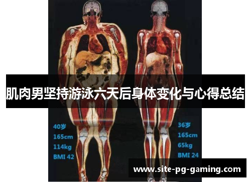 肌肉男坚持游泳六天后身体变化与心得总结
