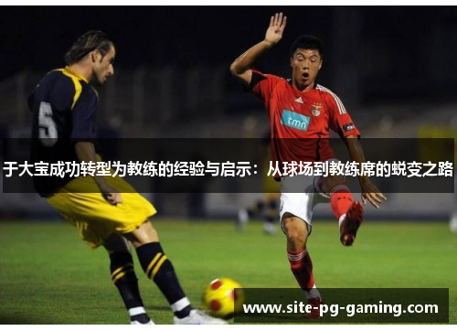 于大宝成功转型为教练的经验与启示：从球场到教练席的蜕变之路