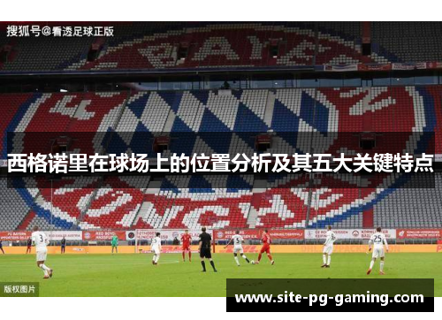 西格诺里在球场上的位置分析及其五大关键特点