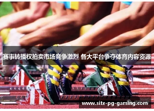 赛事转播权拍卖市场竞争激烈 各大平台争夺体育内容资源