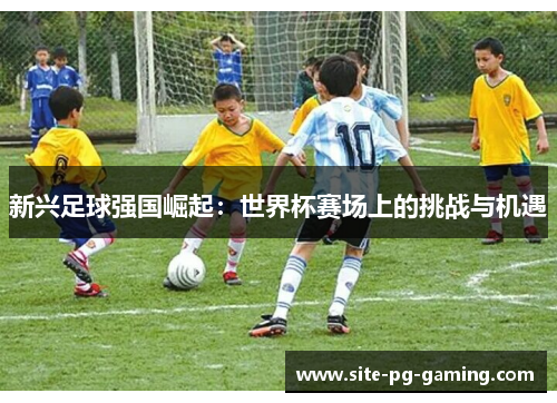 新兴足球强国崛起：世界杯赛场上的挑战与机遇