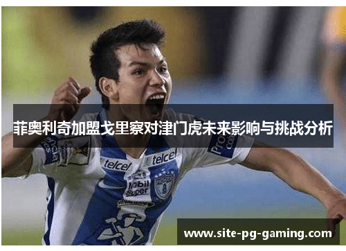 菲奥利奇加盟戈里察对津门虎未来影响与挑战分析 菲奥利奇加盟戈里察对津门虎未来影响与挑战分析